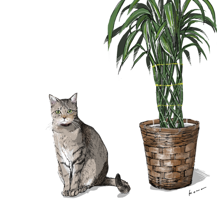 座っているキジ猫とミリオンバンブーのイラスト